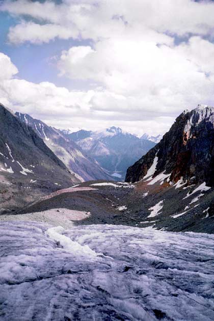 �������� �. �����