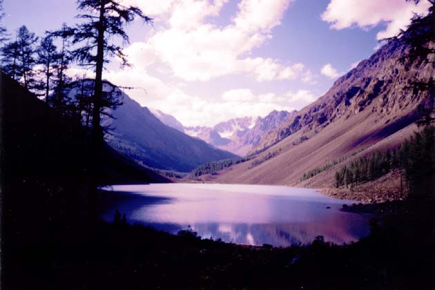 ����� �����