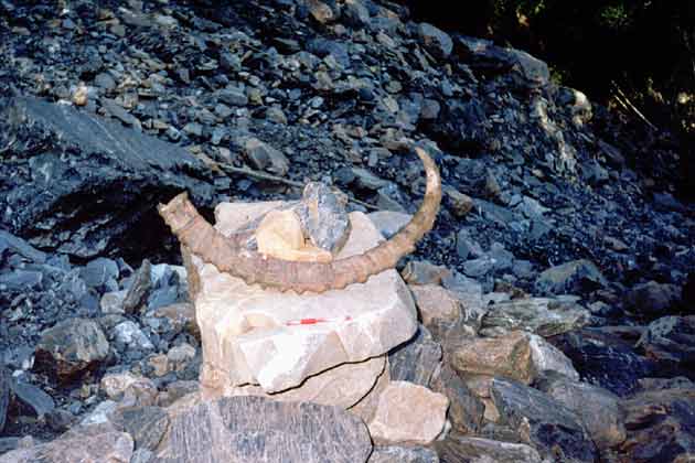 ���. (������� �������� ����� - ��������� �����)