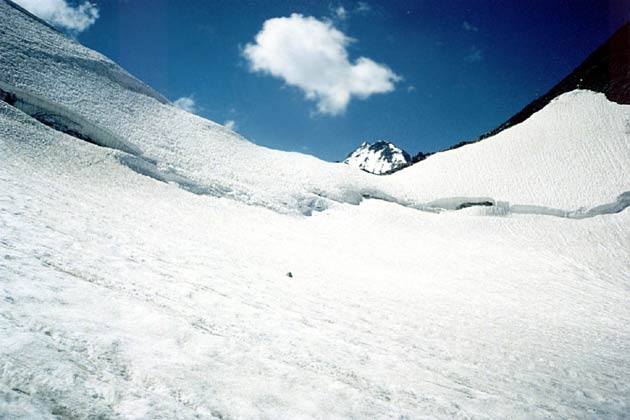 ��������� ���. ������������.