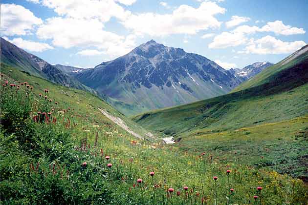 ������ �. ����� �������.