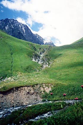 �. ����� �������.