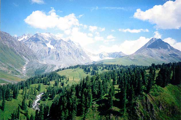 ������ �. � �. ��������.