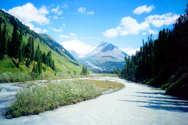 �. ����� ������.