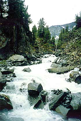 �. ����-����.